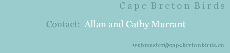 Contact Information