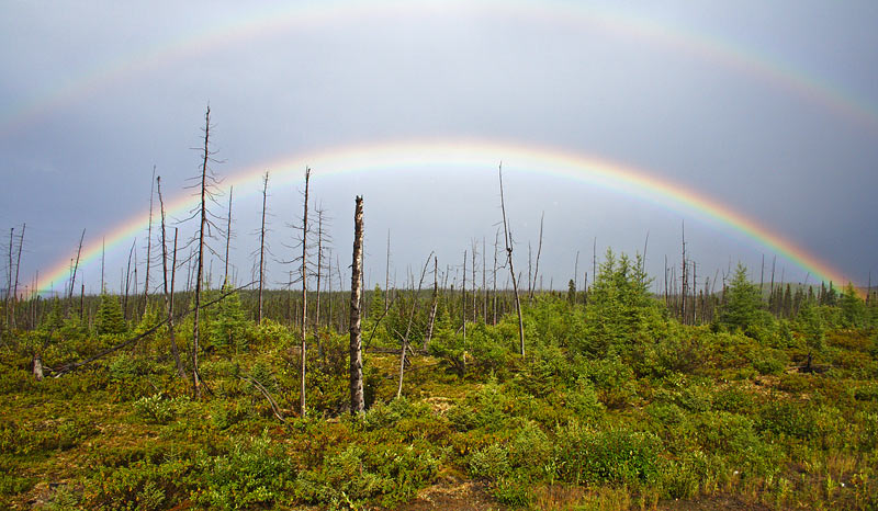 Double Rainbow