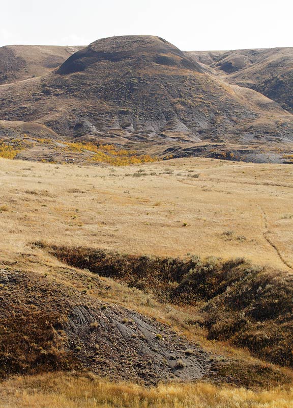 Picture of Grasslands National Park.