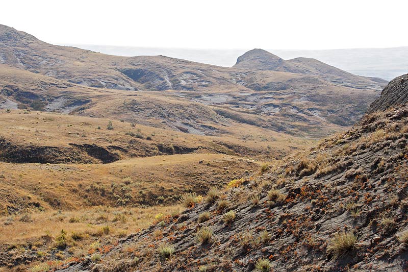 Picture of Grasslands National Park.