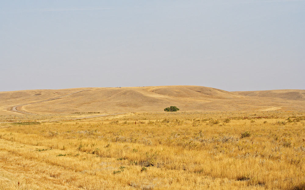 Picture of Grasslands National Park.