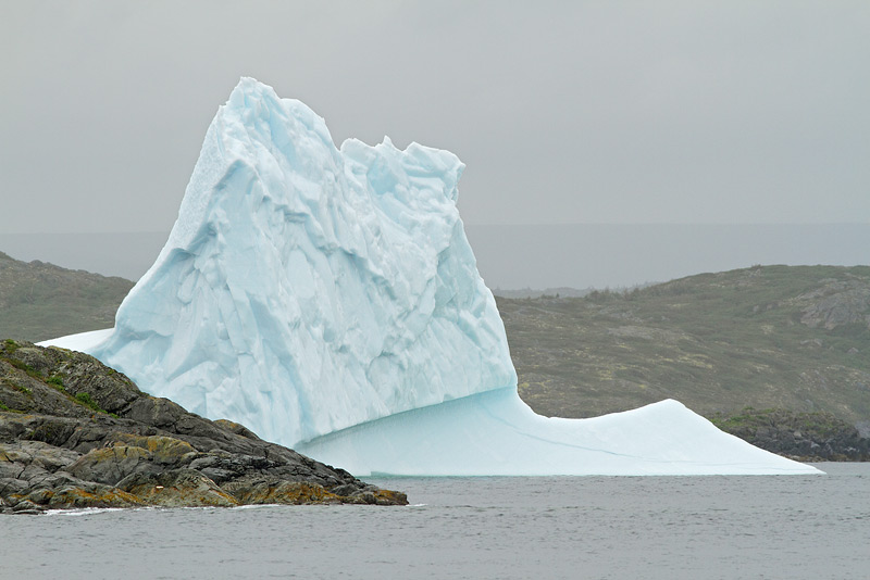 Icebergs, St. Anthony, 