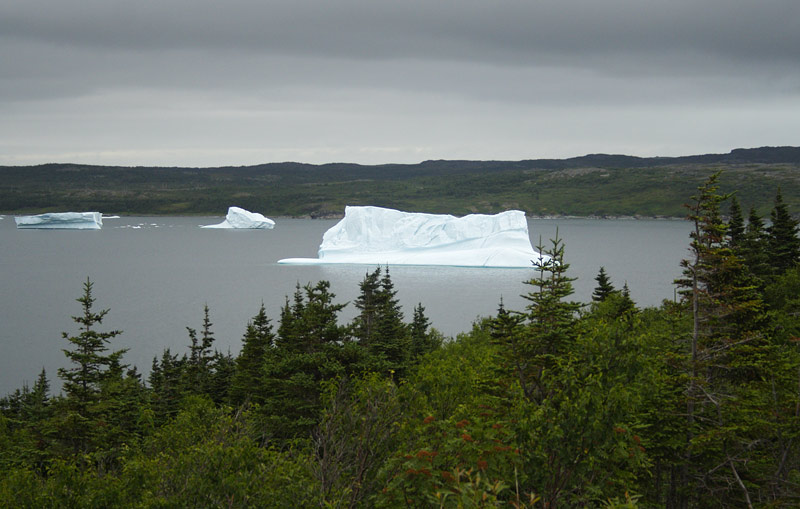 Icebergs, St. Anthony, 