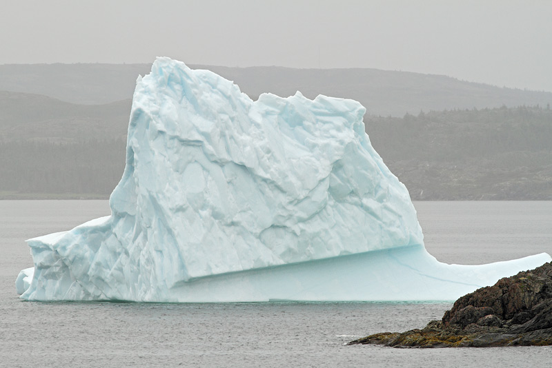 Icebergs, St. Anthony, 