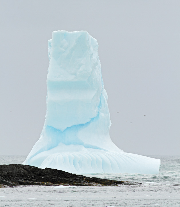 Icebergs, St. Anthony, 