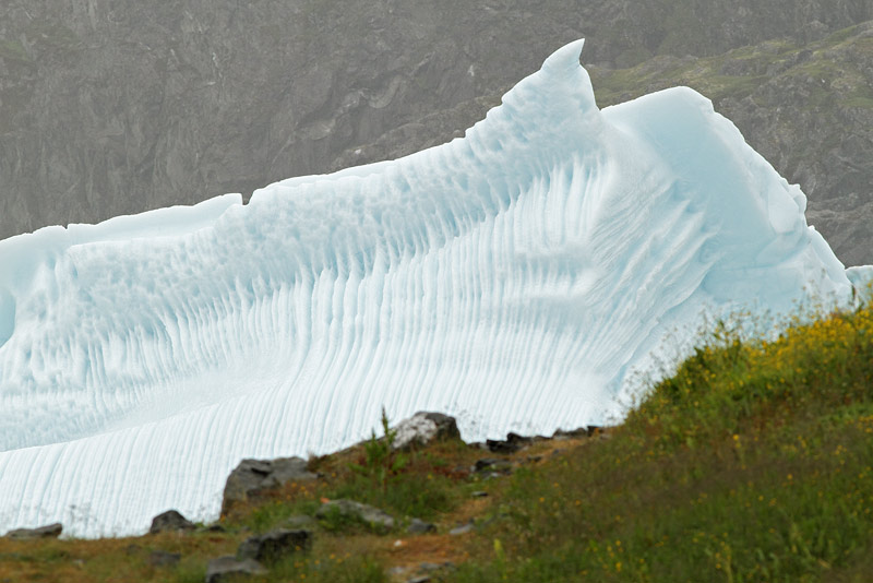 Icebergs, St. Anthony, 