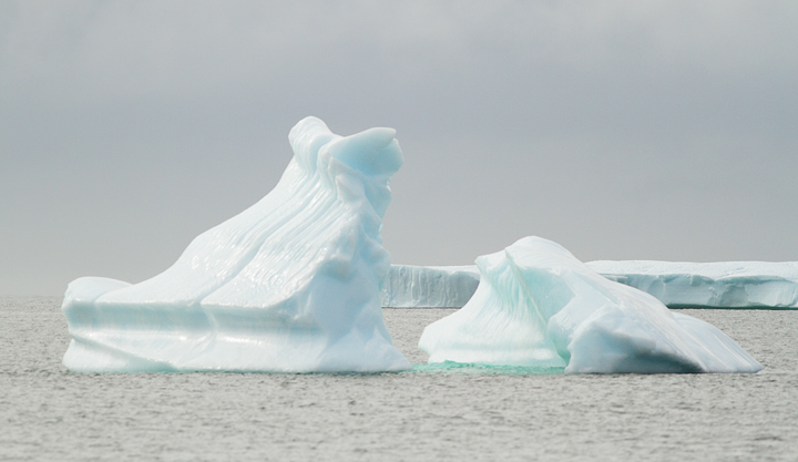 Icebergs, St. Anthony, 