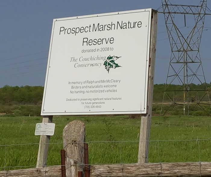 Prospect Marsh